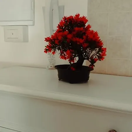 公寓 Naxos Sweet Dreams